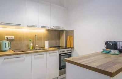 Long-term rental of a cozy two-bedroom apartment in the center of Vračar, Belgrade