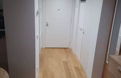 Long-term rental of a 2-rooms apartment in the premium residential complex "Sakura Park", New Belgrade