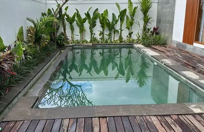 Long-term rental of a new villa in Ubud, Bali, Singakerta area