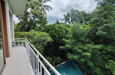 Long-term rental of a new villa with jungle view in Ubud, Bali, Kecamatan area