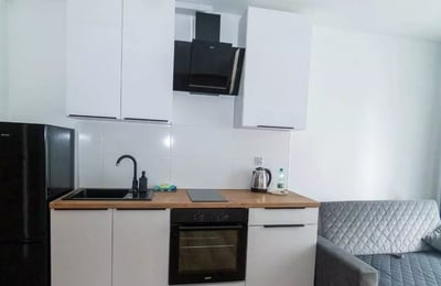 Long-term rental 21 m² high-standard apartment with 1 room and a courtyard in Prądnik Czerwony, Kraków
