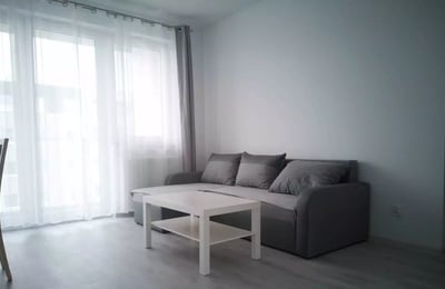 Long-term rent spacious apartment with pet-friendly in Wrocław