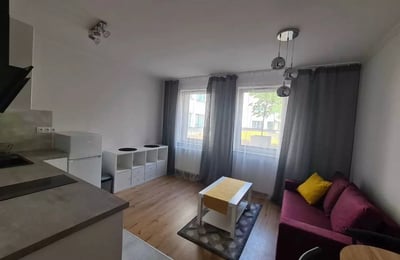 Long-term rental of a cozy studio near the city center on Legnicka st., Wroclaw