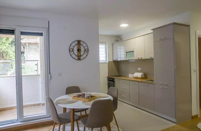 Long-term rental in Belgrade: 2-room apartment, 48 m², in Zvezdara district with balcony and appliances