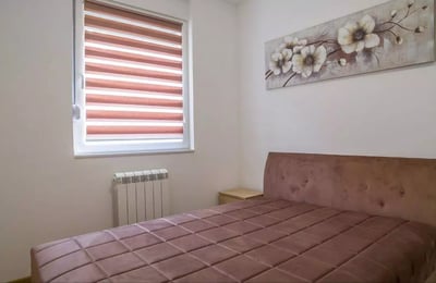 Long-term rental in Belgrade: 2-room apartment, 48 m², in Zvezdara district with balcony and appliances