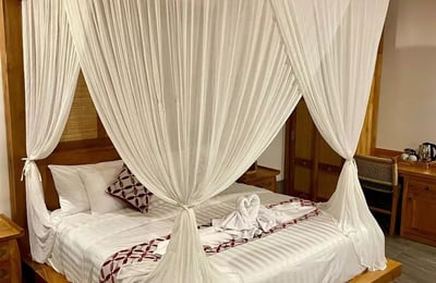 Long-term rental in Bali new villa with pool and bathroom in Kemenuh area