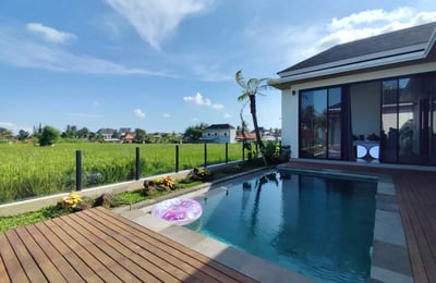 Long-term rental in Bali brand-new villa in Peliatan with pool and rice field view