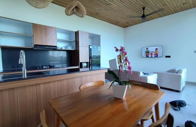 Long-term rental in Bali brand-new villa in Peliatan with pool and rice field view