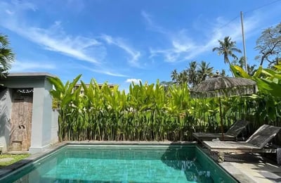 Long-term rental new villa with rice field view in Ubud