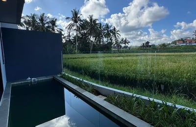 Long-term rental of a 2-bedroom villa in Tegalalang, Ubud, Indonesia