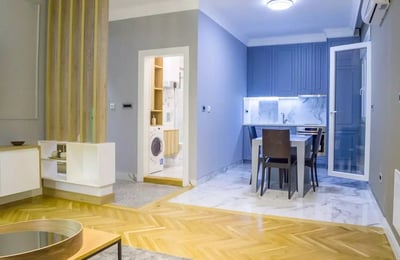 Долгосрочная аренда 2-комнатной квартиры 48 м² в Белграде, Сербия