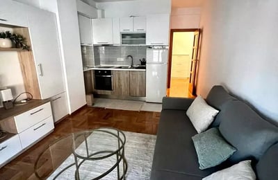 Alquiler a largo plazo de un departamento de 2 habitaciones de 43m² en Belgrado, Serbia
