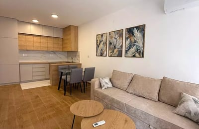 Долгосрочная аренда 2-комнатной квартиры 45 м² в Белграде, Сербия