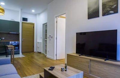 Langfristige Miete einer 2-Zimmer-Wohnung 40 m², Belgrad, Serbien