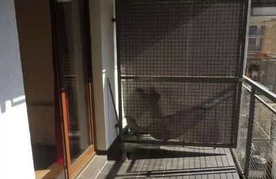 Location longue durée d’un appartement 2 pièces, 43 m², dans le quartier Przedmieście Oławskie, Wrocław, Pologne