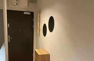 Location longue durée d’un appartement 1 pièce de 19 m² à Psie Pole, Wrocław, Pologne