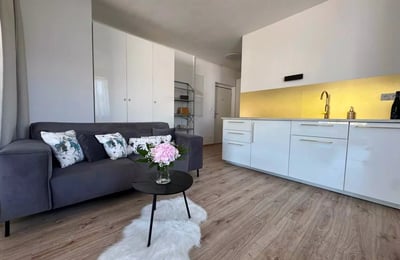 Long-term rental of apartment 38 m² in Nové Mesto, Bratislava III, Slovakia
