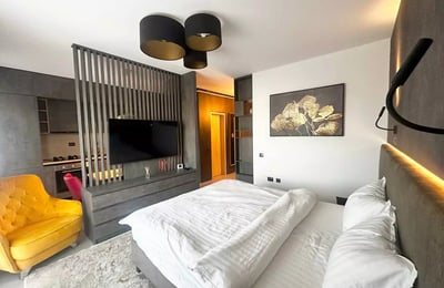 Langfristige Miete einer 1-Zimmer-Wohnung, Brașov, Rumänien