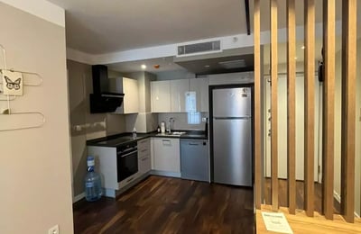 Long-term rental of a 1-bedroom apartment in Istanbul, Turkey