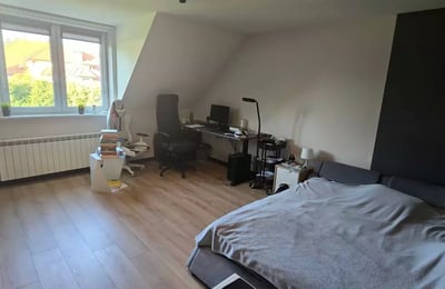 Langfristige Vermietung eines 6-Zimmer-Hauses, 270 m², Krakau, Polen