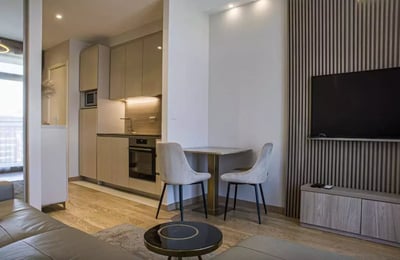 Long-term rental of a studio apartment, 32 m², Belgrade, Serbia