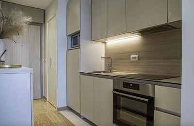 Long-term rental of a studio apartment, 32 m², Belgrade, Serbia