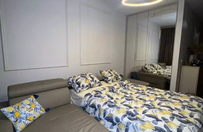 Long-term rental of a studio apartment, 32 m², Belgrade, Serbia