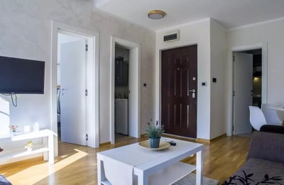 Долгосрочная аренда 2-комнатной квартиры, 37 м², в центре, Белград, Сербия