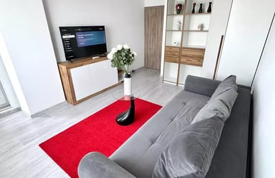 Long-term rental of a 1-room apartment in Bucharest, Romania