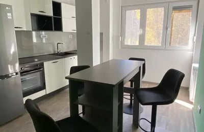 Long-term rental of a 2-room apartment, 61 m², in Vračar, Belgrade, Serbia