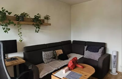 Langzeitmiete einer Wohnung, 33 m², Stadtteil Orunia, Danzig, Polen