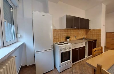 Долгосрочная аренда 2-комнатной квартиры, 48 м², Палилула, Белград, Сербия