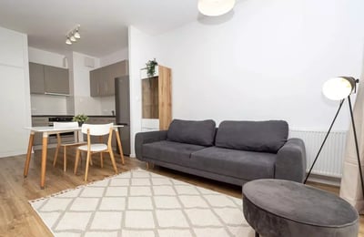 Долгосрочная аренда просторной 1-комнатной квартиры, 36 м², Старе Място, Краков, Польша