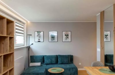 Location longue durée d’un appartement de 1 pièce, 28 m², Śródmieście, Wrocław, Pologne