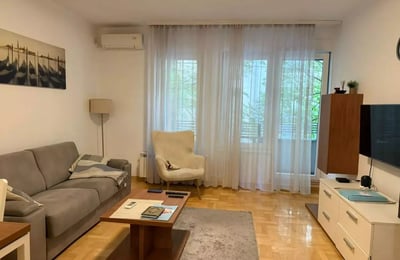 Долгосрочная аренда 2-комнатной квартиры, 48 м², Врачар, Белград, Сербия