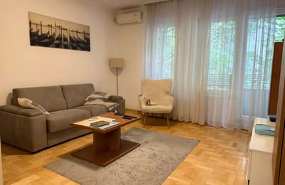 Долгосрочная аренда 2-комнатной квартиры, 48 м², Врачар, Белград, Сербия