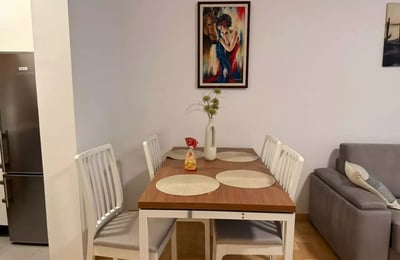 Долгосрочная аренда 2-комнатной квартиры, 48 м², Врачар, Белград, Сербия