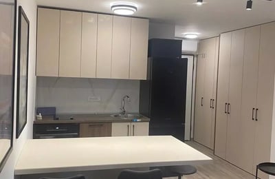 Аренда уютной квартиры-студии, 30 м², Врачар, Белград, Сербия