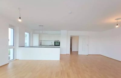 Alquiler a largo plazo, lujoso apartamento de 4 habitaciones junto al Danubio, Viena, distrito 19