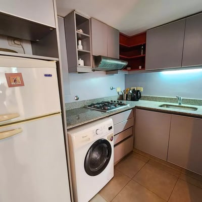 Alquiler a largo plazo de 2 ambientes con terraza y parrilla en Buenos Aires, Argentina, San Telmo