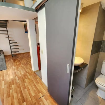 Alquiler a largo plazo de 2 ambientes con terraza y parrilla en Buenos Aires, Argentina, San Telmo