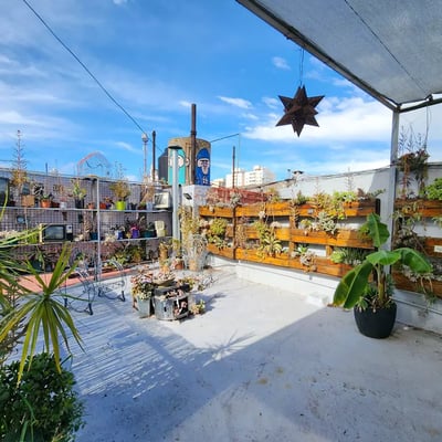 Alquiler a largo plazo de 2 ambientes con terraza y parrilla en Buenos Aires, Argentina, San Telmo