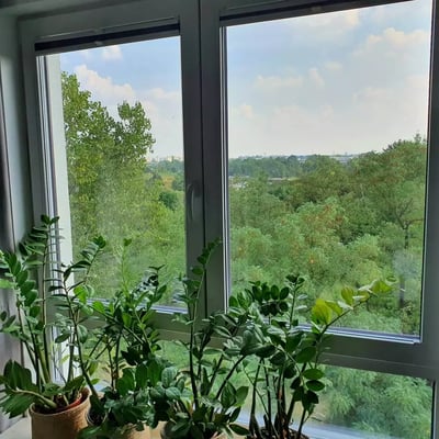 Alquiler a largo plazo, Varsovia, Białołęka: apartamento de 2 habitaciones, 45 m²