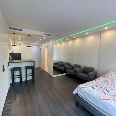 Long-term rental of a studio, 35 m² in Paris, France
