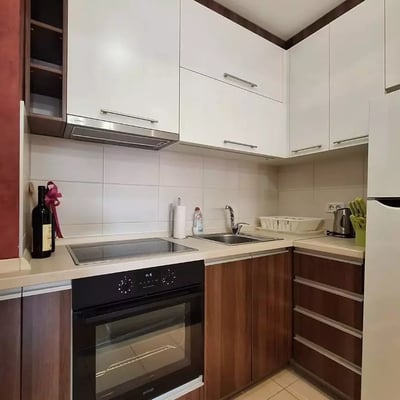 Long-term rental of a 2-room apartment, 55 m² in Belgrade, Serbia