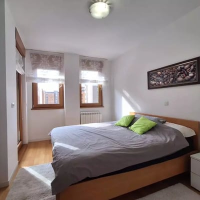 Long-term rental of a 2-room apartment, 55 m² in Belgrade, Serbia