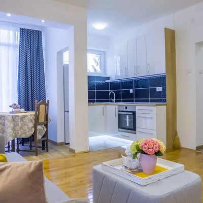 Long-term rental of a 2-room apartment, 51 m² in Belgrade, Serbia
