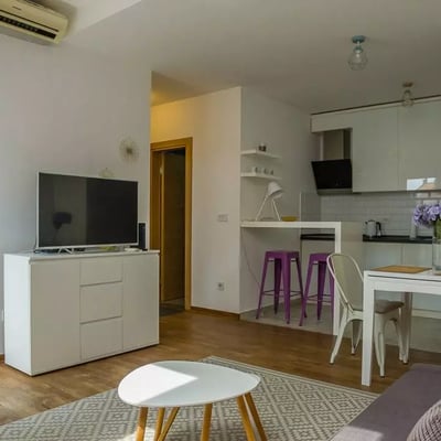Long-term rental of a 2-room apartment 42 m², Belgrade, Serbia