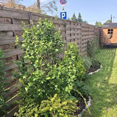 Долгосрочная аренда 3-комнатной квартиры 64 м² в районе Prądnik Biały, Краков, Польша