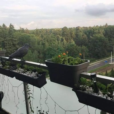 Alquiler a largo plazo apartamento de 3 habitaciones, 63 m², distrito Grabiszyn, Breslavia, Polonia